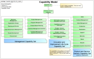 Organizaitonal Capability Model