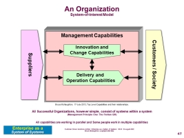 Organization Capabilities:  Management, Innovation and Change, and Delivery and Operation